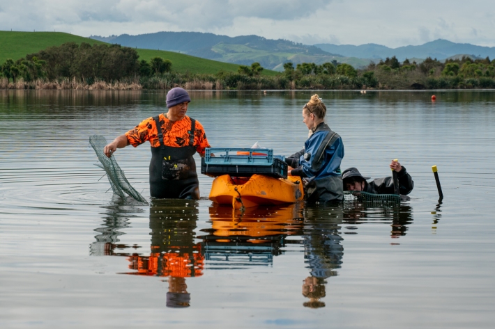 Lake Ohinewai Rototurf