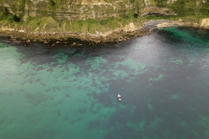 coastal ecosystem Gabrielle