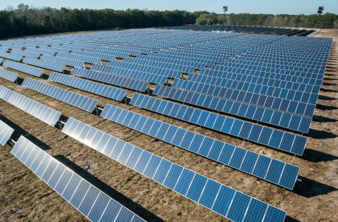 Solar farm