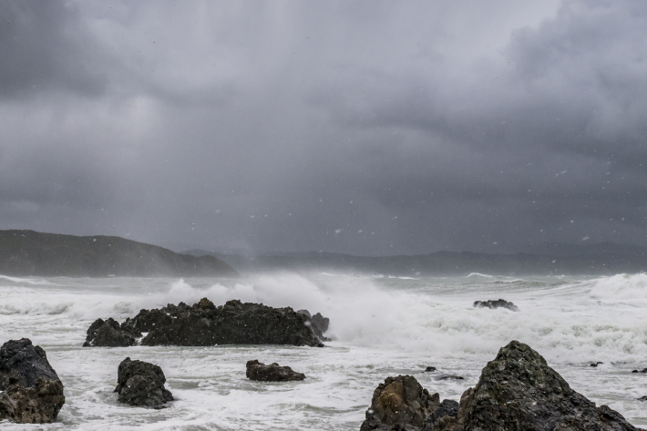 Wellington storm waves